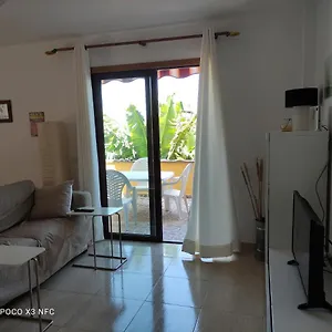 Palma Tellus Tazacorte